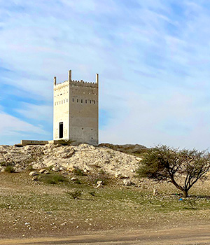 Ajman - Hassa Buweid Tower - pic